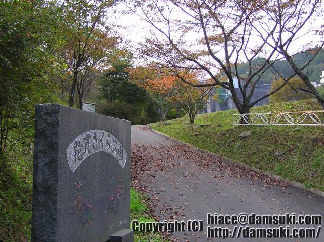 ʿ17ǯ113  1317ʬ